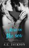 [Bleeding Stars 01] • A Stone in the Sea (Bleeding Stars Book 1)